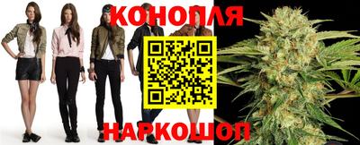 гашик Будённовск