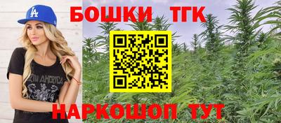 гашик Будённовск