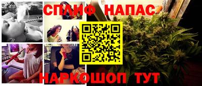 гашик Будённовск