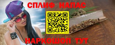 гашик Будённовск