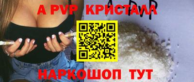 гашик Будённовск