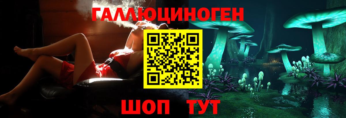 Псилоцибиновые грибы GOLDEN TEACHER  наркота  Карабулак  Галлюциногенные грибы MAGIC MUSHROOMS  Вход с VPN 